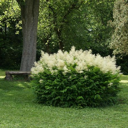 Landgasthof Em Lade Dahlem  Exteriör bild