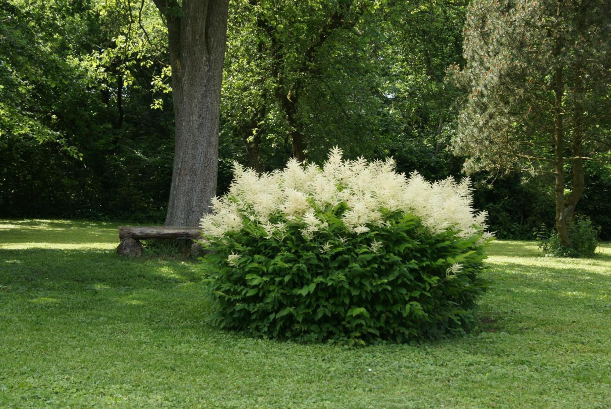 Landgasthof Em Lade Dahlem  Exteriör bild